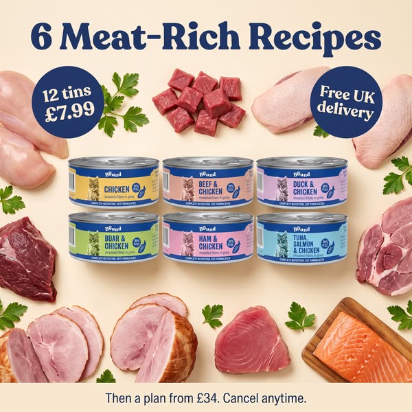 Only £7.99 for 12 Tins!
