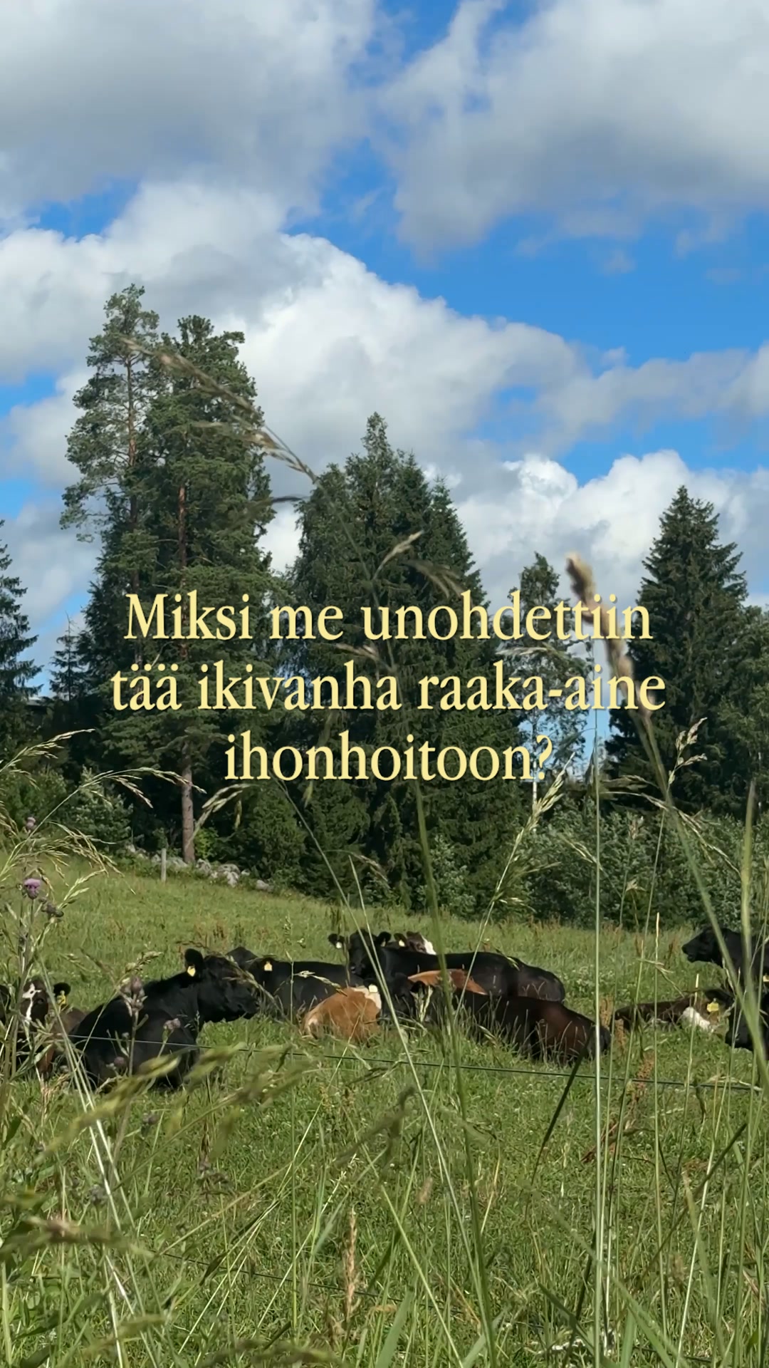 Miksi me unohdettiin tämä ihonhoidon raaka-aine?