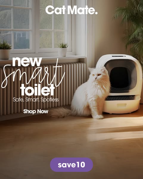 Get 10% Off Smart Toilets Today! Use Code SAVE 10