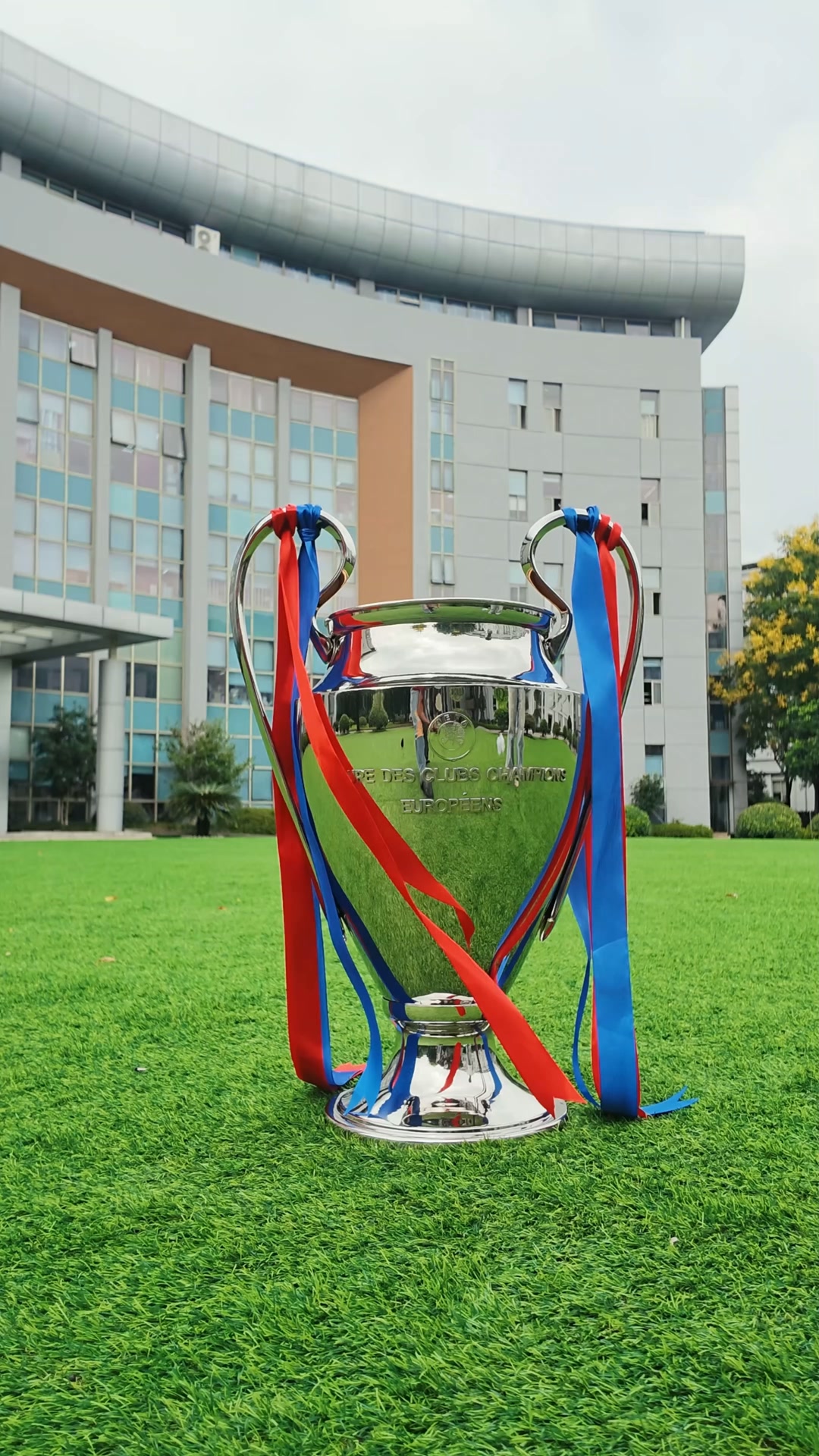 Anúncio de Trophy & Pigskin Nation