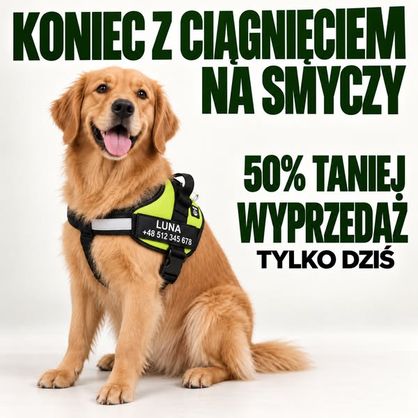 Do 50% taniej – szelki PSIKROK