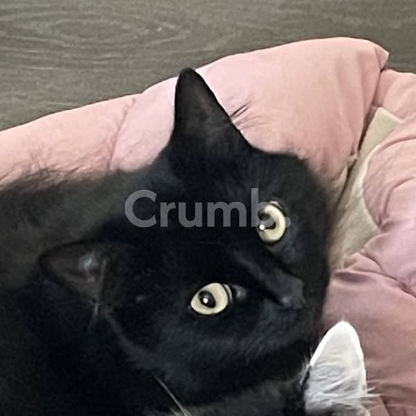 Crumb.