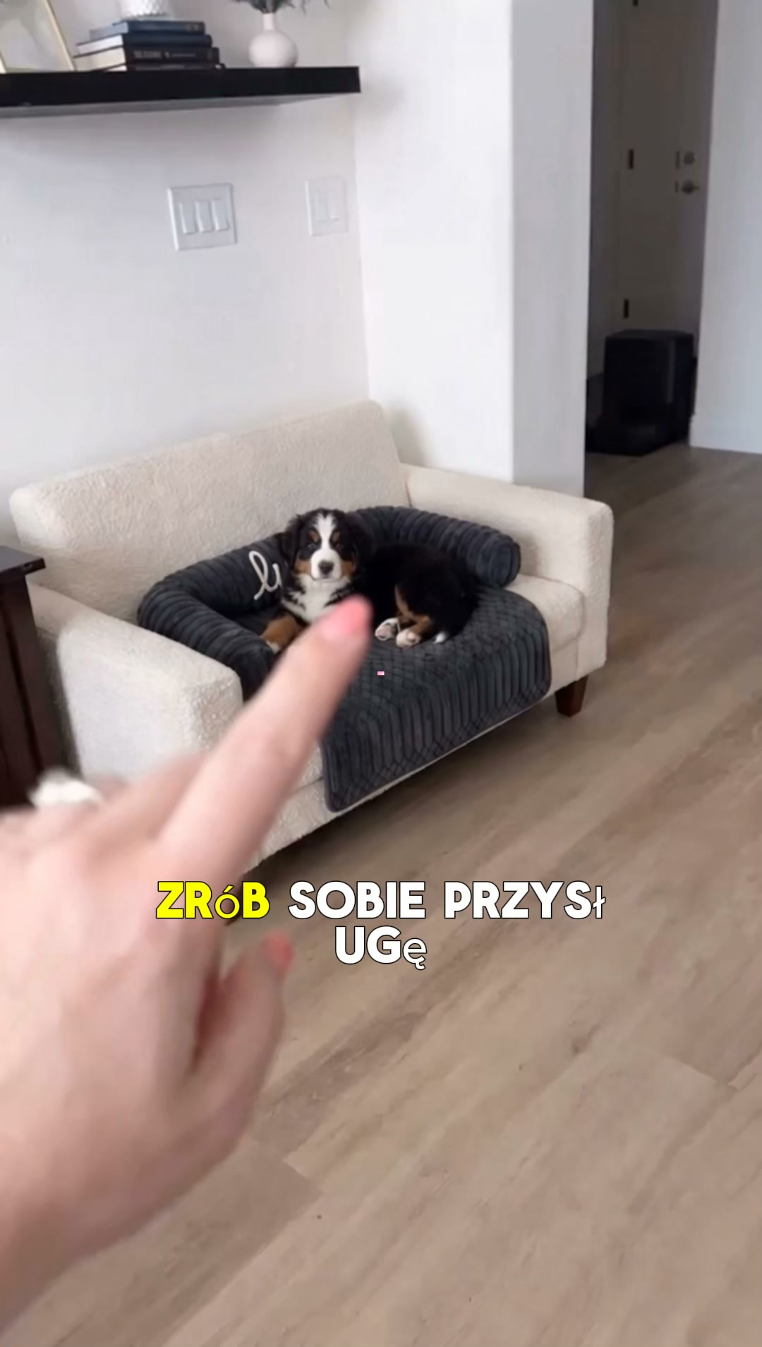 #1 Puszyste Legowisko