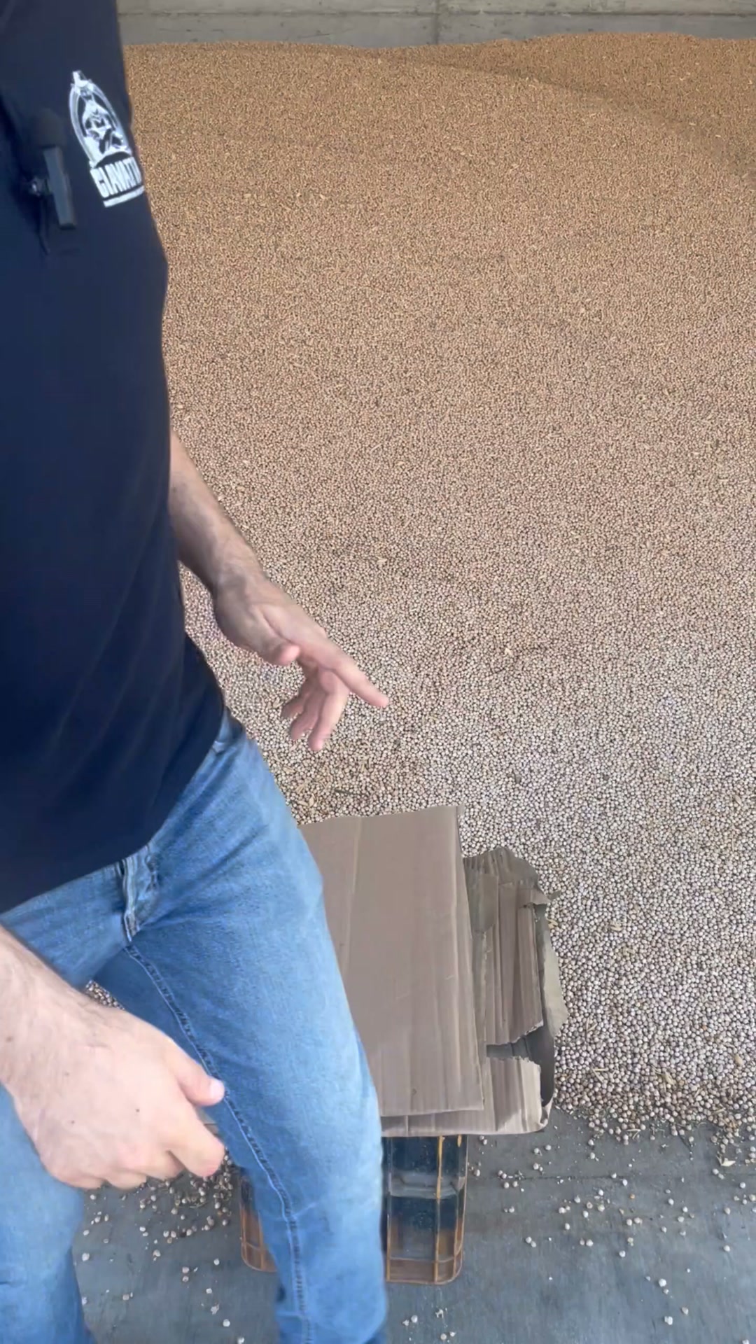 Subito Un Regalo Per Te