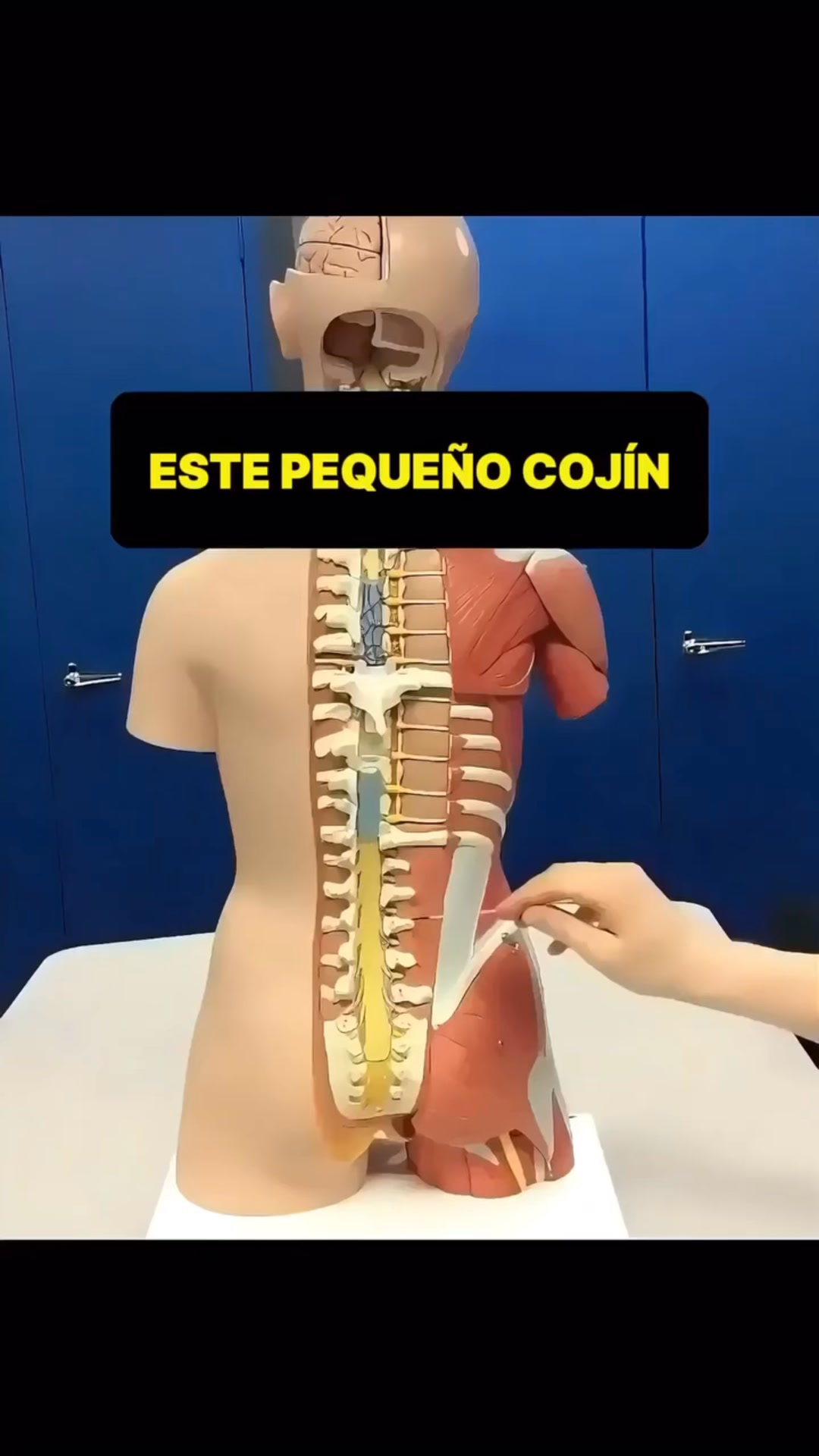 60% de descuento!