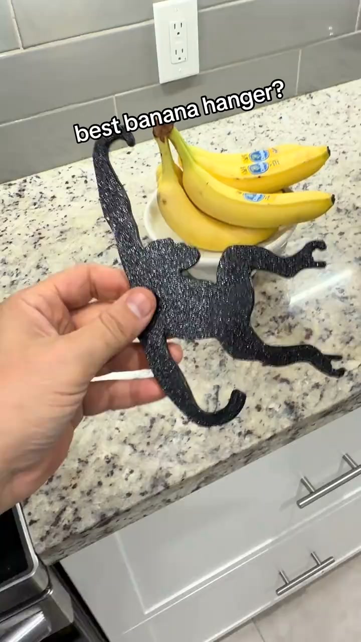Need a Hand? Meet Your New Monkey Helper!