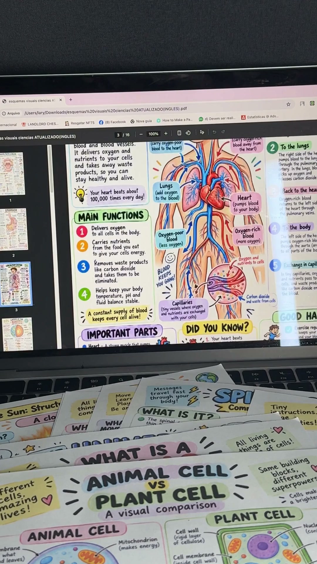 Help Your Students Understand Science More Visually with +200 Illustrated Visual Diagrams