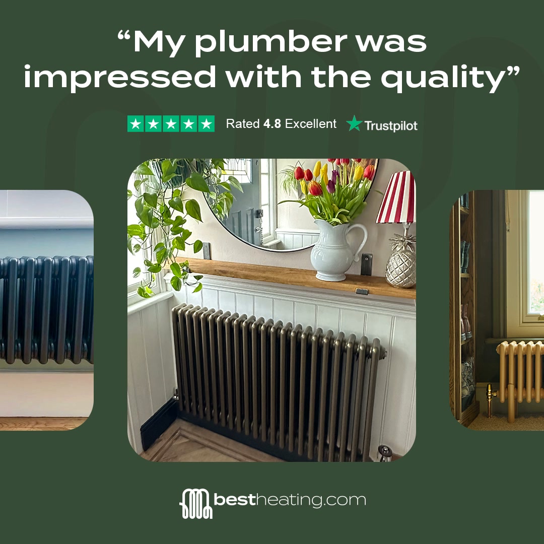Rated Excellent on Trustpilot