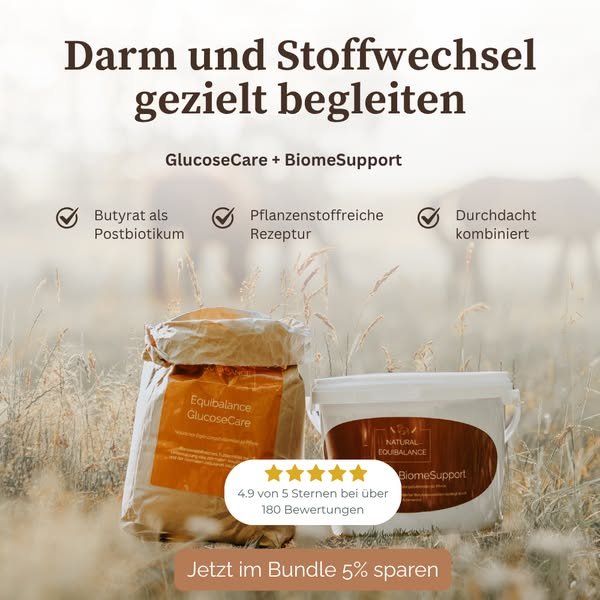 Jetzt den Unterschied entdecken