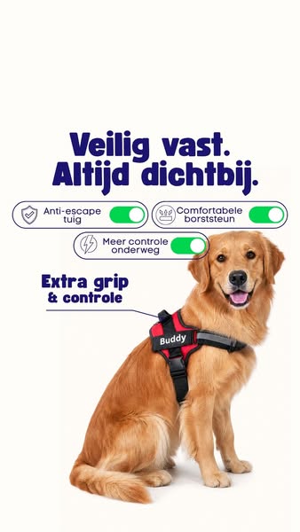 Voor 23:00 besteld, zelfde dag verzonden.