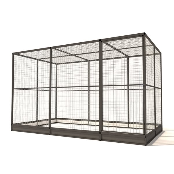 Kattenren Noa