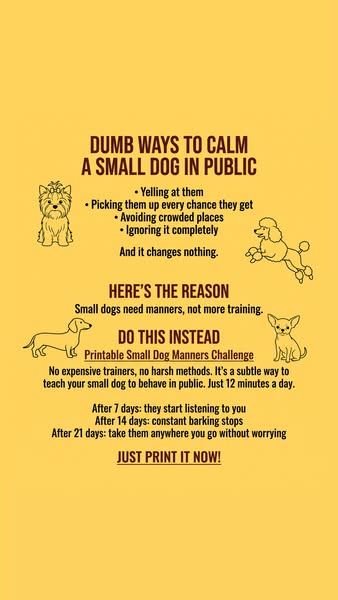 Small dog, big attitude? SAVE THIS ▶