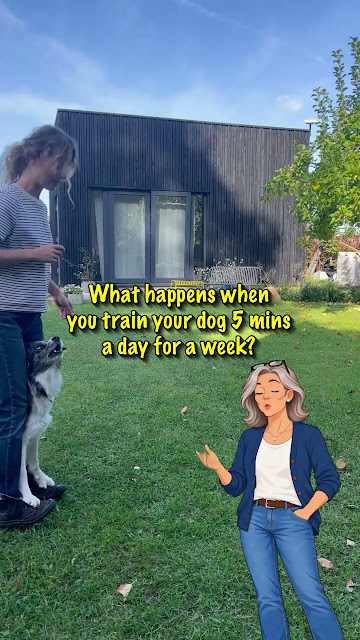 Get the revolutionary dog training book!