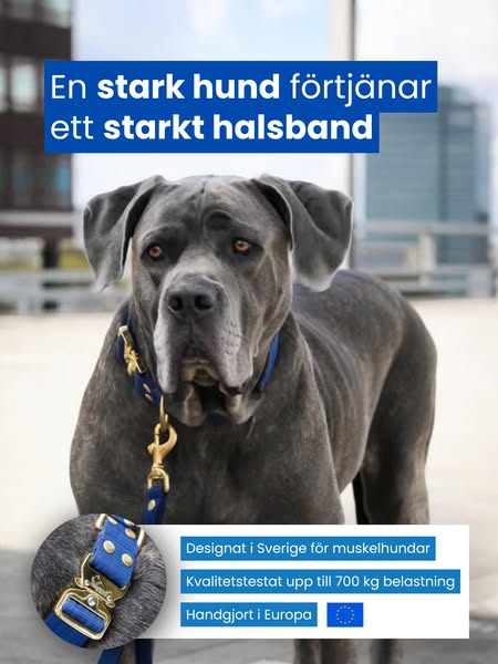 Bästsäljare bland ägare av muskelhundar