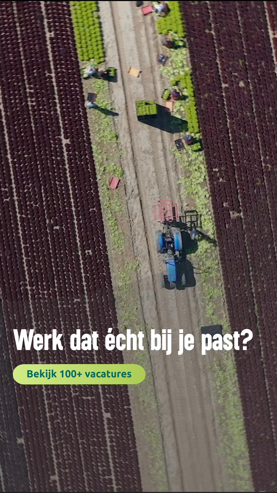 Ontdek alle vacatures