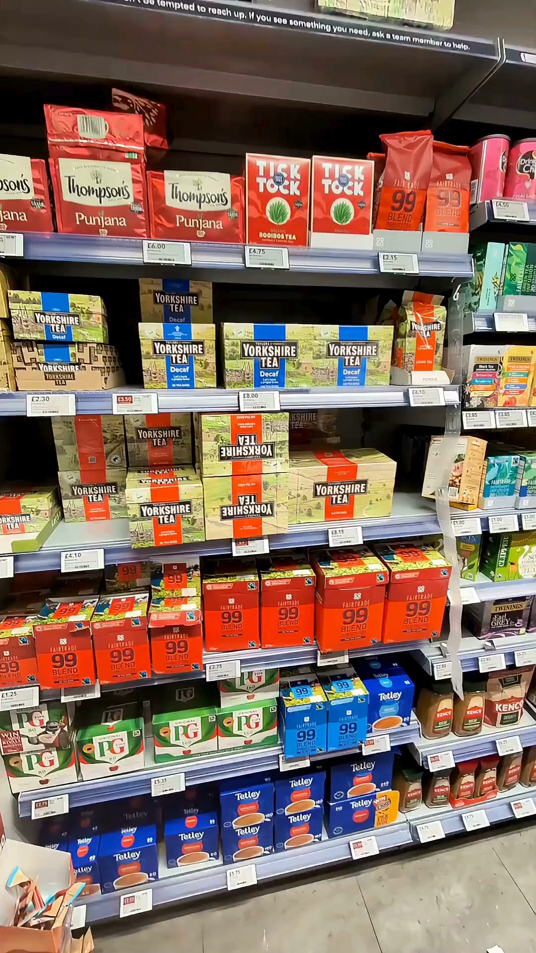 Is There Plastic in Your Tea Bag?