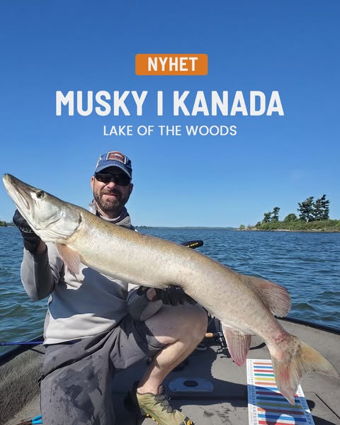 Musky i Kanada med fiskeguide