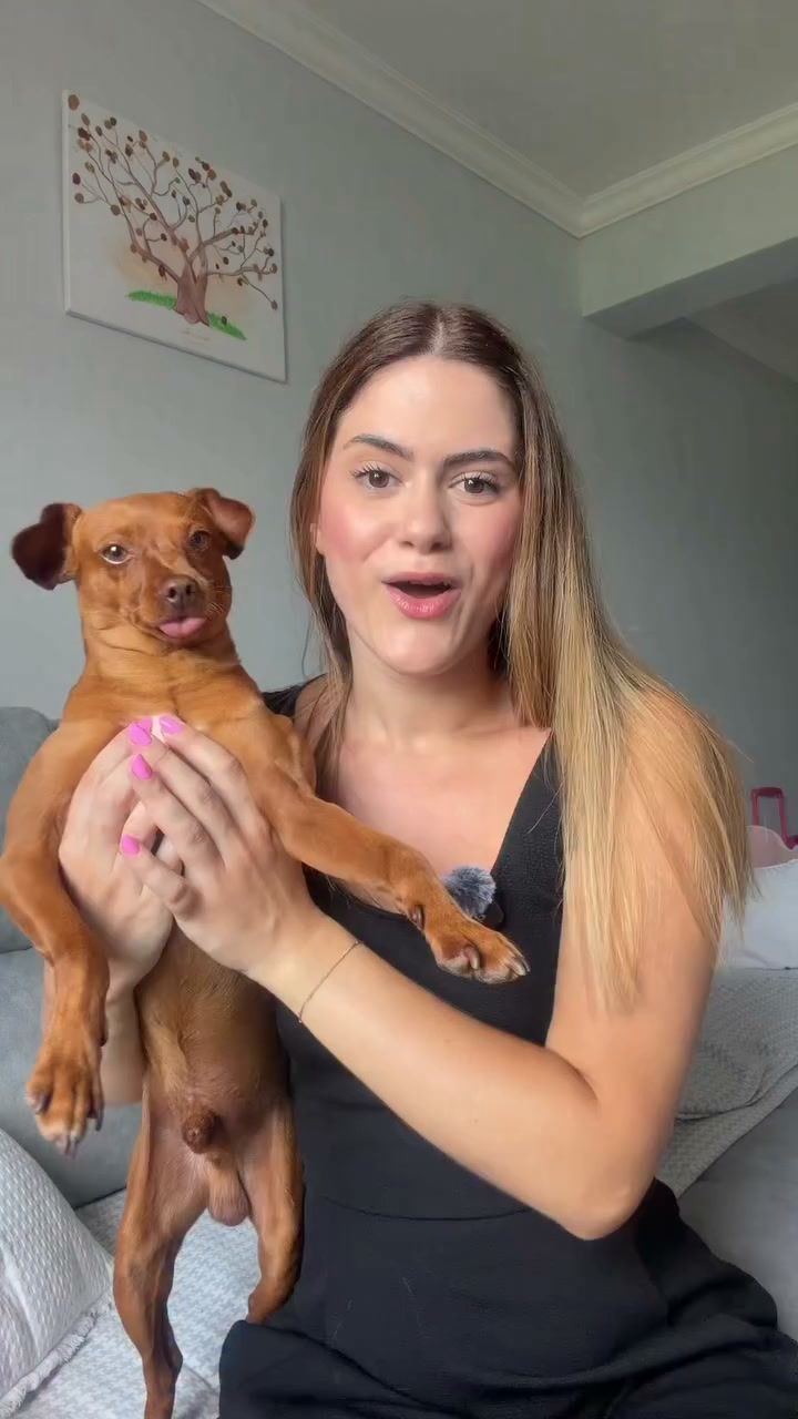 Luva Eletrostática Remove-Pelos | -35%