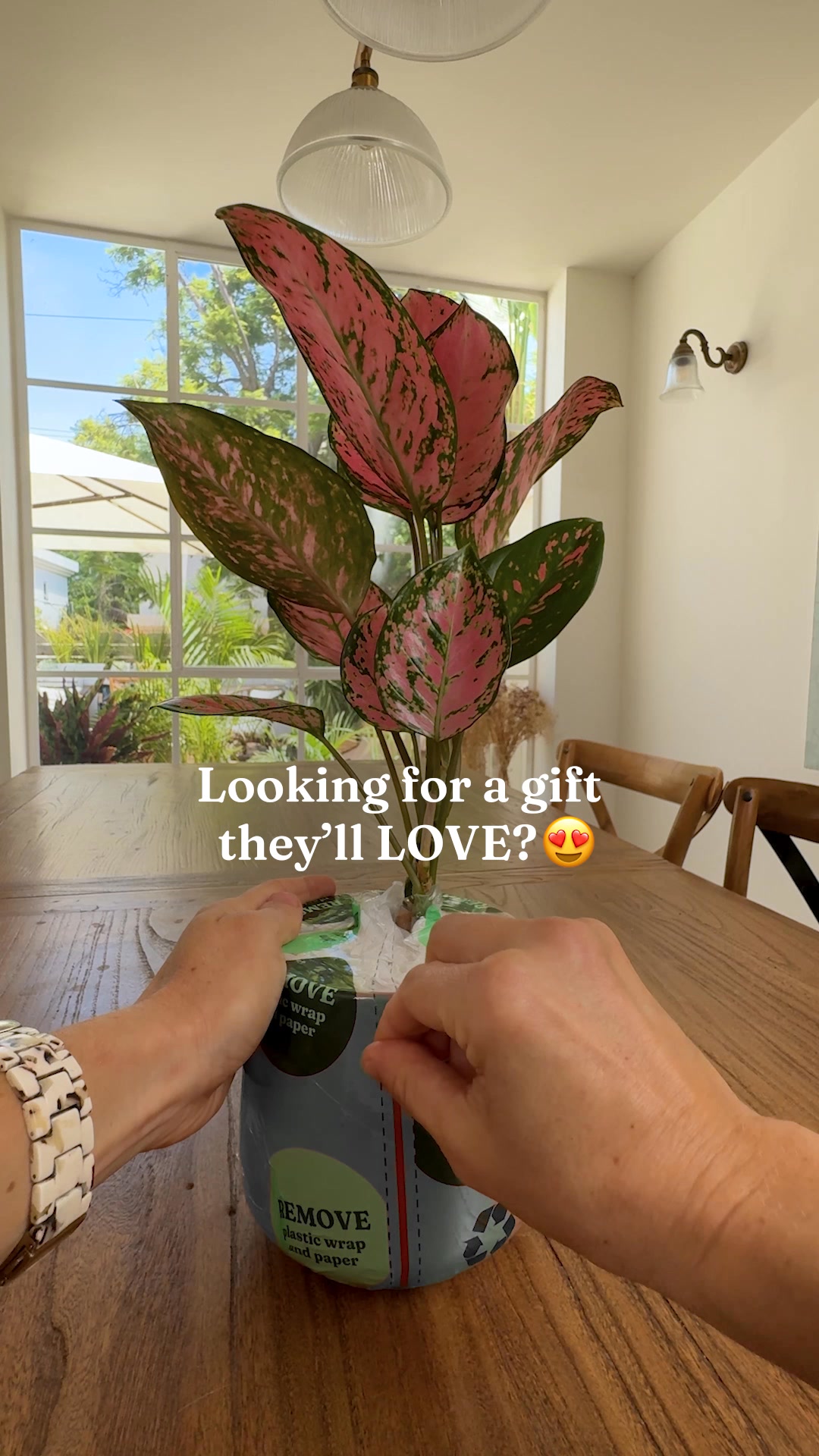Thriving plants made EASY!
