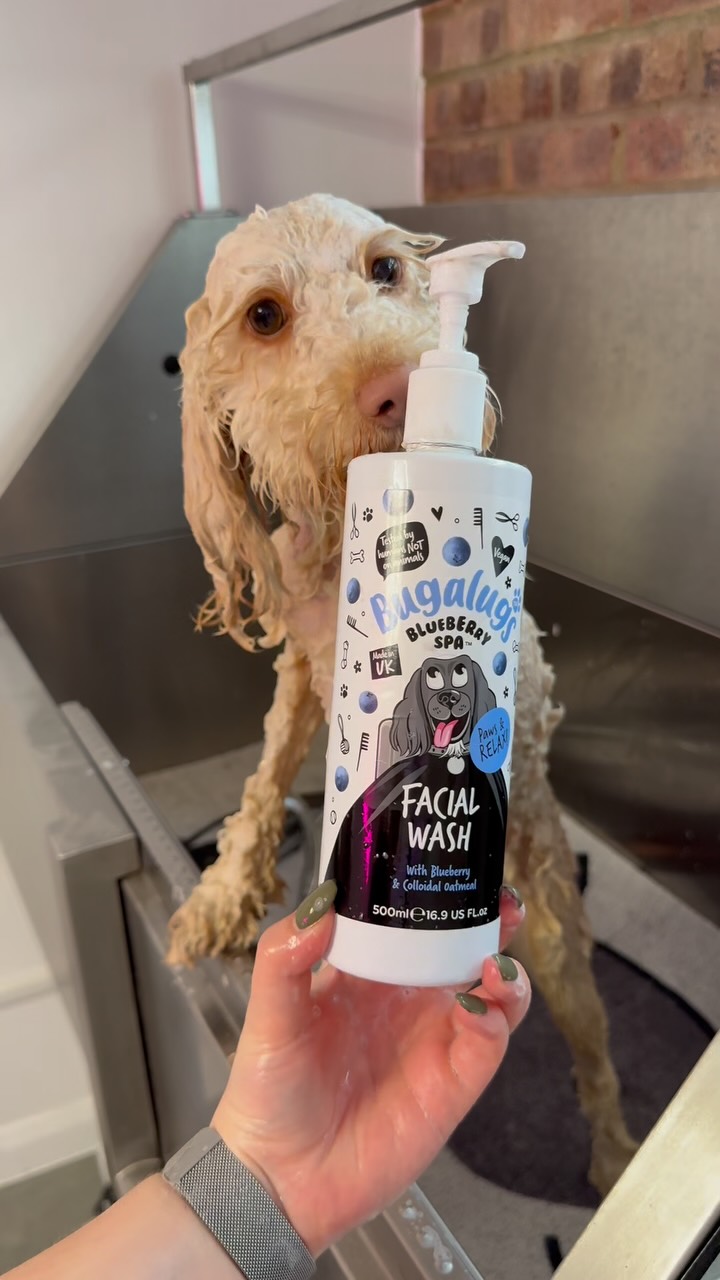 Anúncio de Bugalugs Pet Care