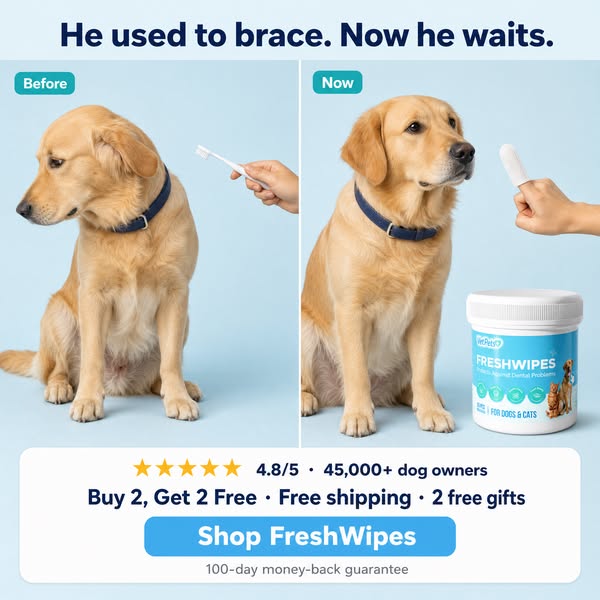 Same dog. 21 days apart.