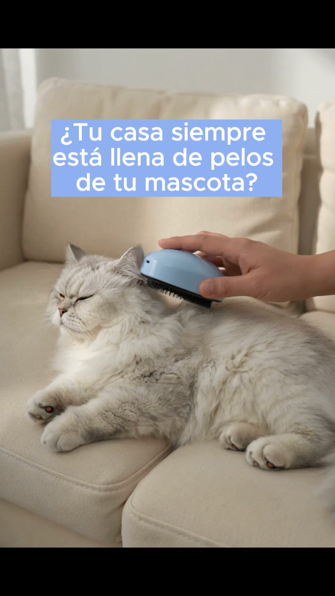 ENVÍO GRATIS 24/48h