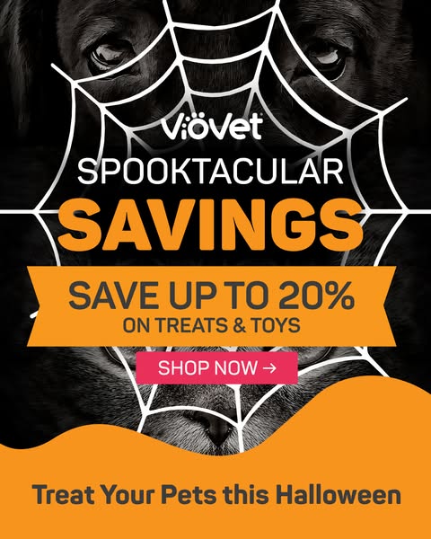 Spooktacular Cat Treats