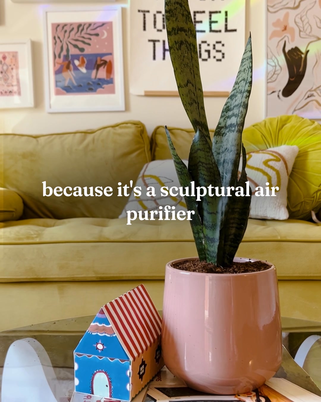 These are NO ordinary plants!