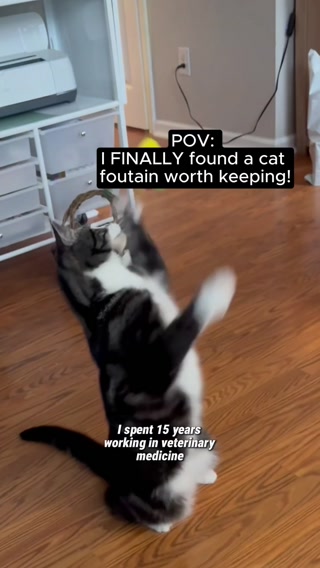 This Is A Must-Have For All Cat Parents!