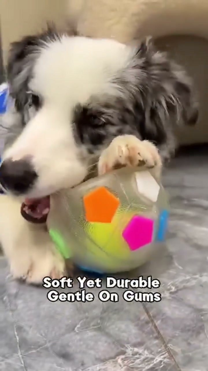 Black Friday Hot Sale 50% OFFDog Soccer Ball Toy With Grab Loops, I