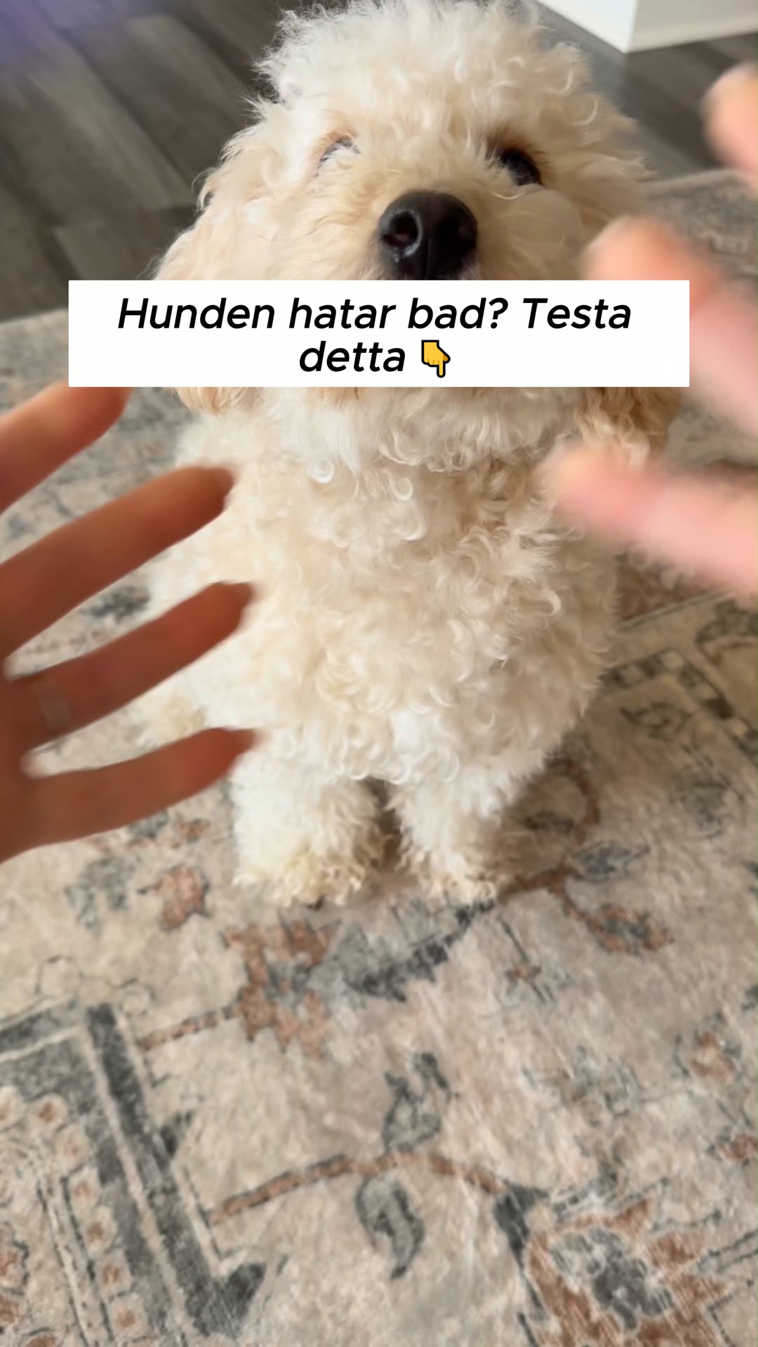 Upp till 50% rabatt + fri frakt – bara idag