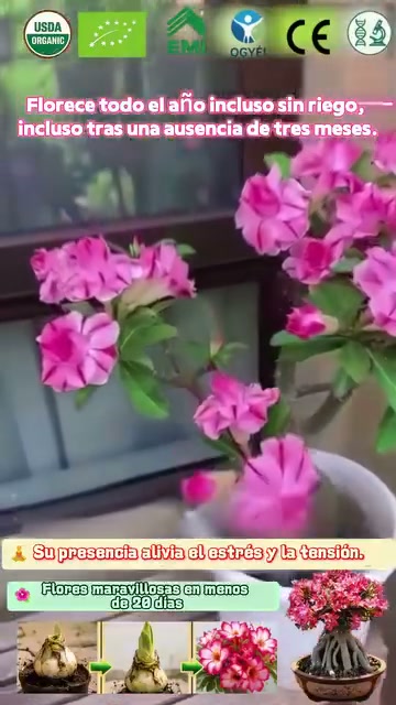 Anúncio de Qahrlj 人気ネットショップ