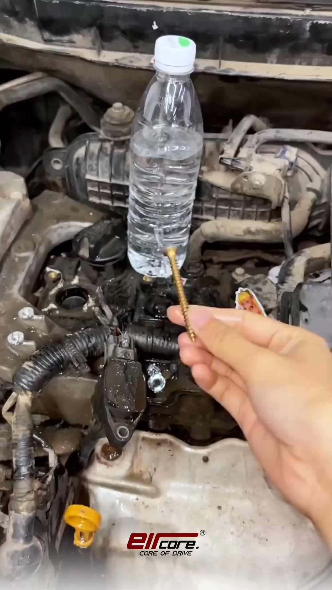 See Inside Your Engine From Your Phone