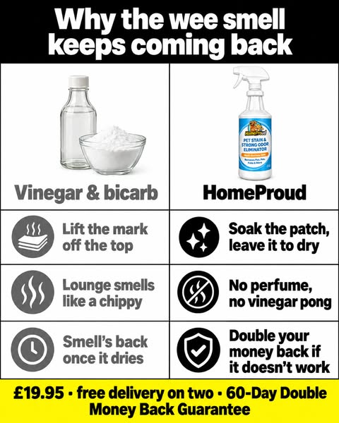 Permanently Remove Pet Stain and Odors!