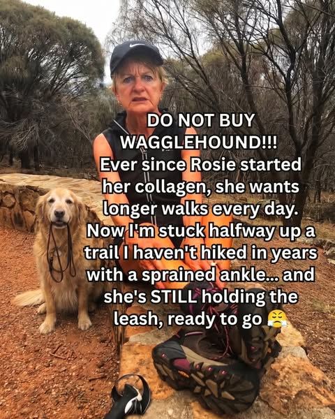 Old dog. New legs. Tired owner.