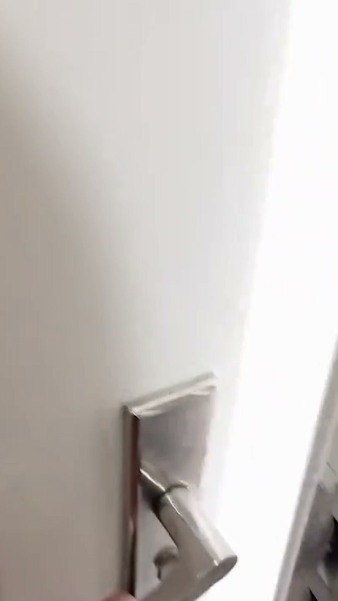 How To Stop Dog Indoor Peeing Fast