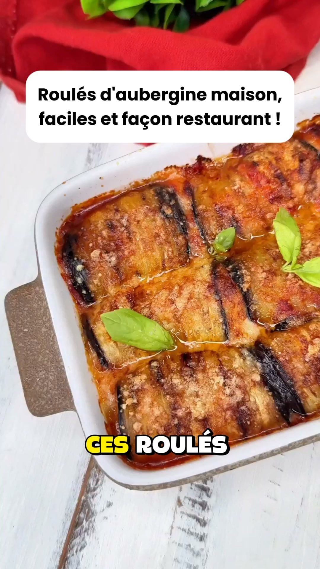 Découvrir les 300 Recettes