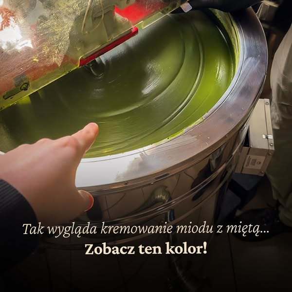 Miód z miętą