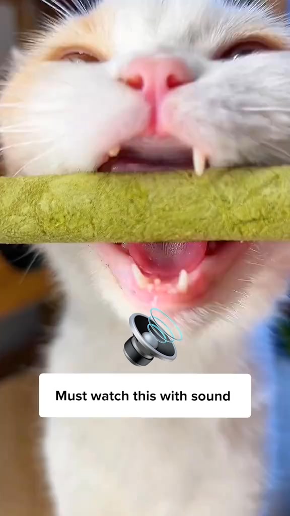 One Treat. Endless Cat Health Benefits.