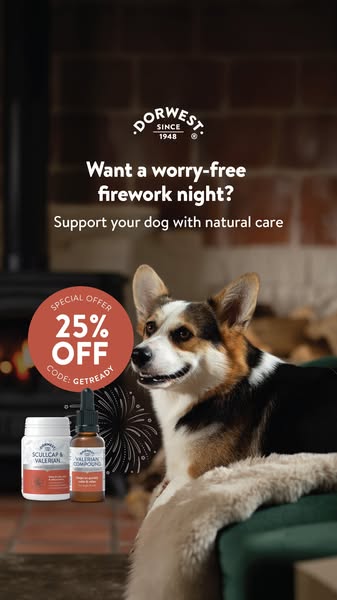 Save 25% with code GETREADY
