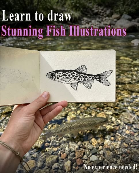 NEW: Fish Drawing Workshop