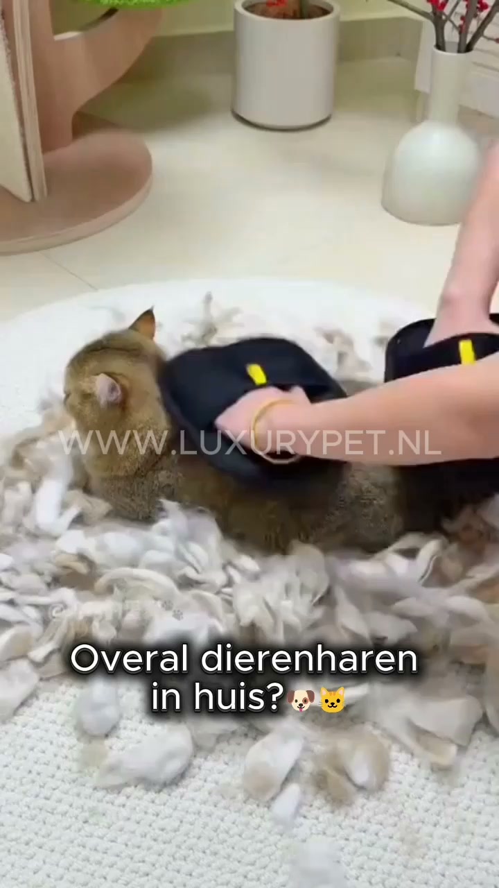 Weg met die losse dierenharen