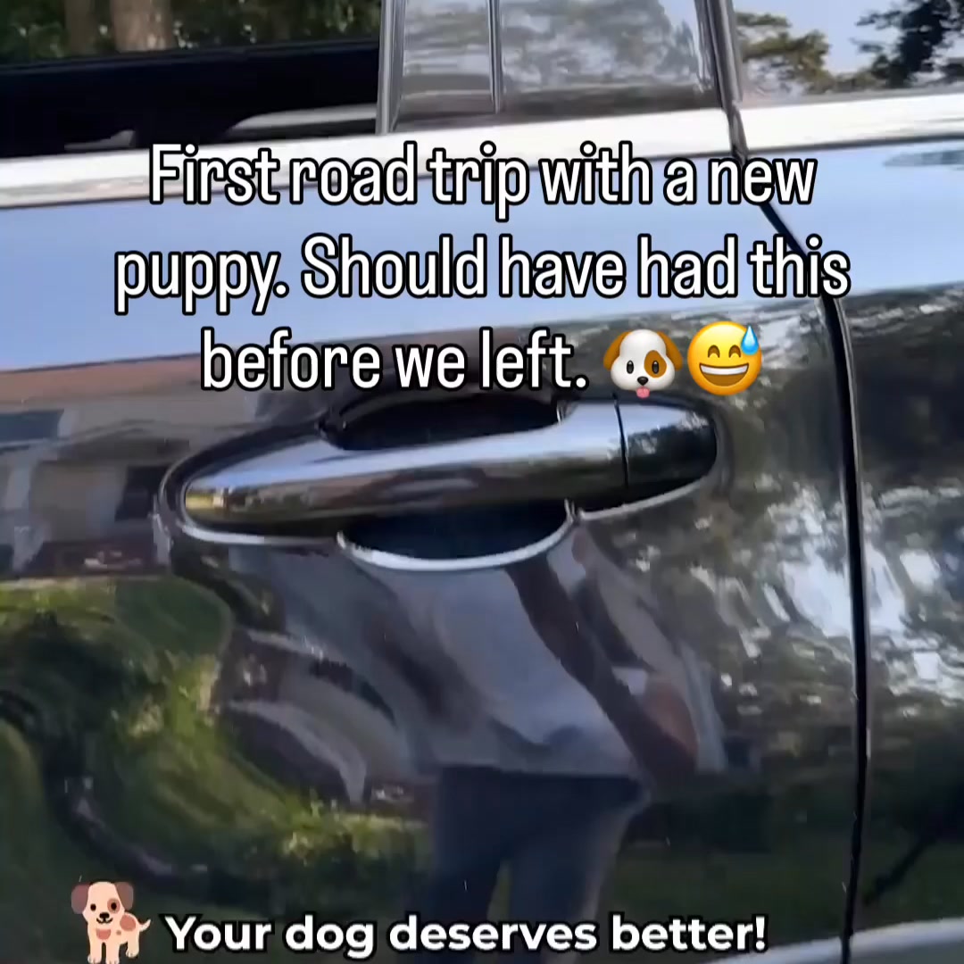 Safe & Comfy Rides in 1 Easy Step