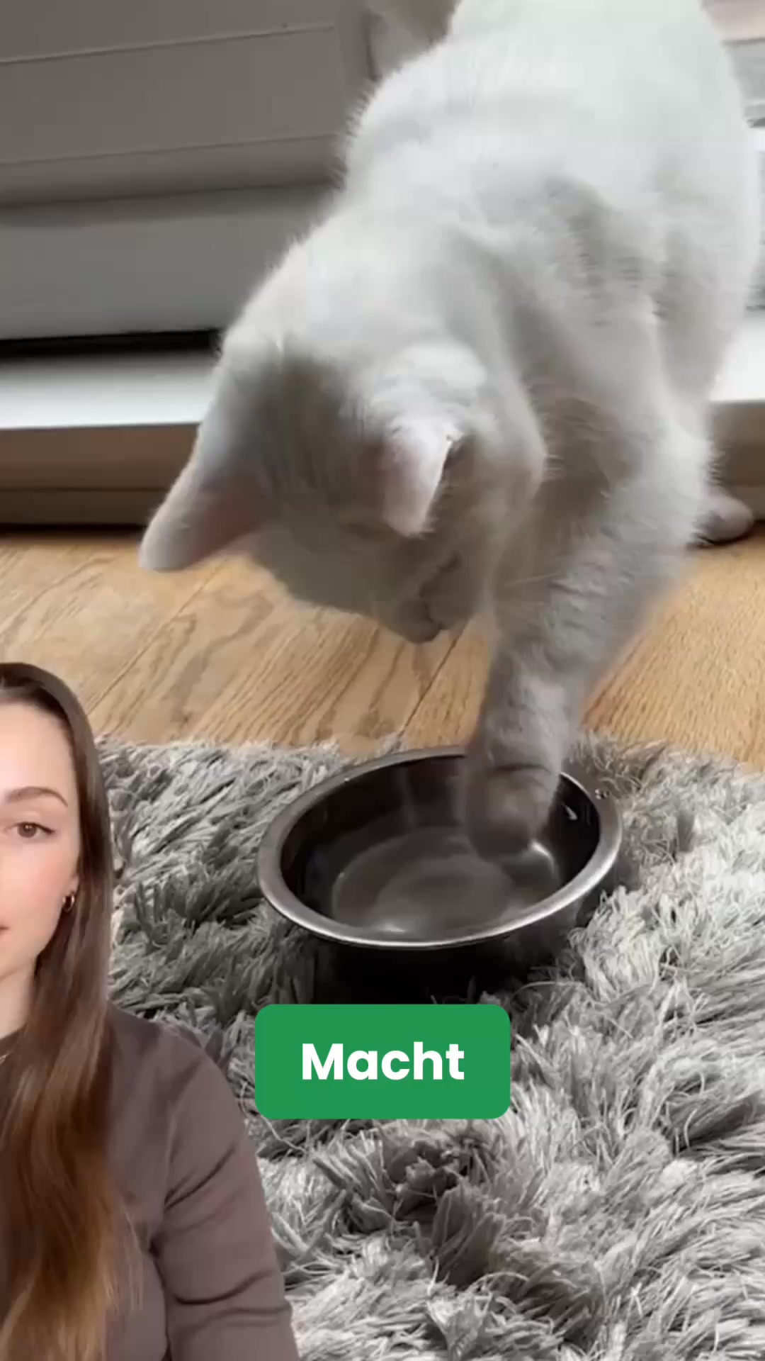 50% RABATT + GRATIS-Geschenke HEUTE