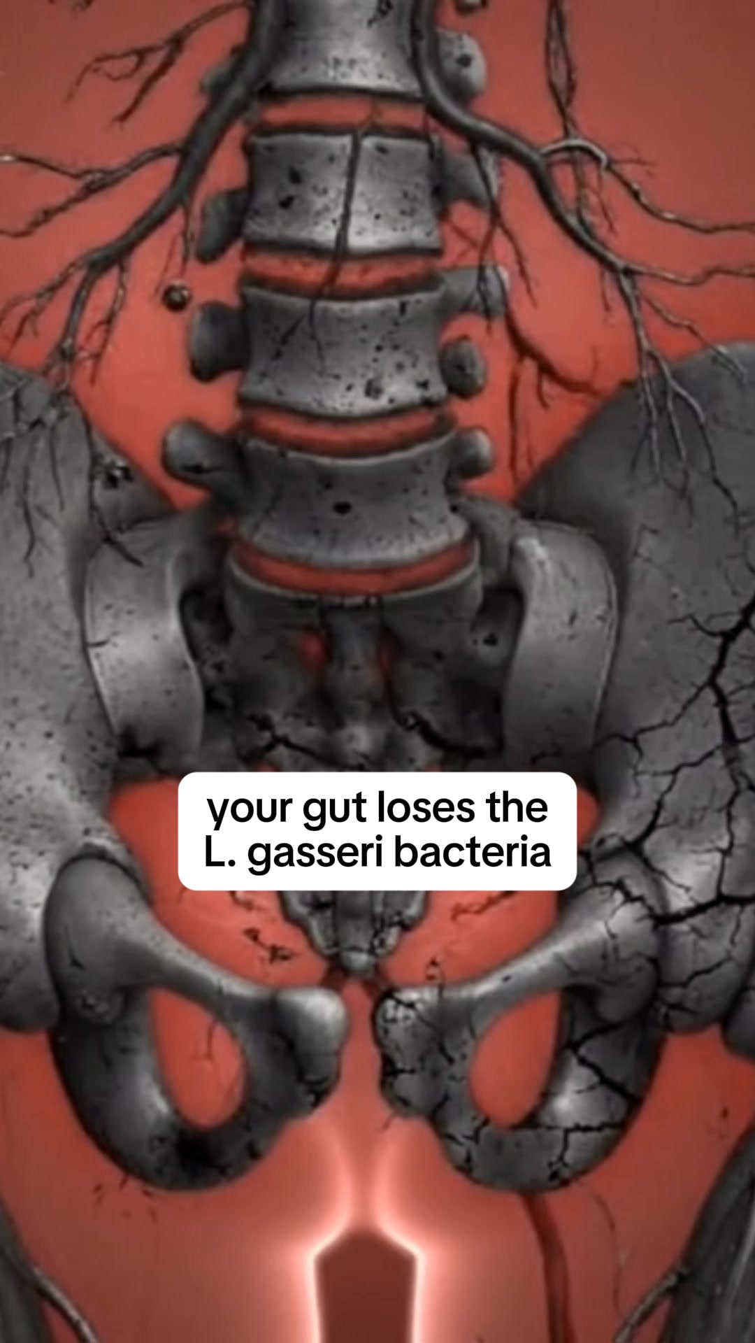 The special probiotic fixing hip pain