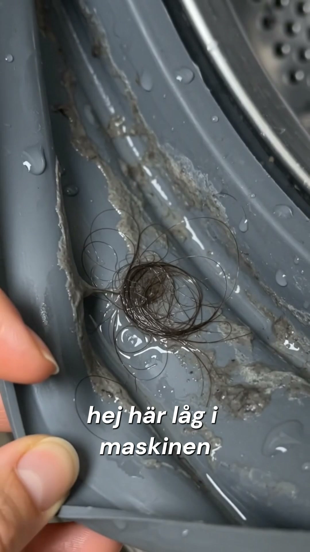 Enzymkapslar för tvättmaskinen