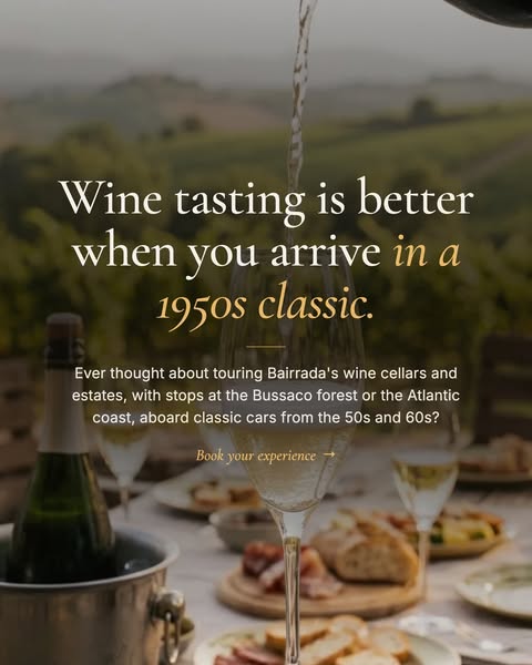 Private Wine Tour in a 1954 Beetle