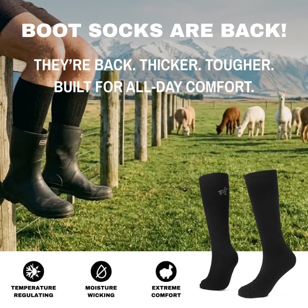 Alpaca Socks