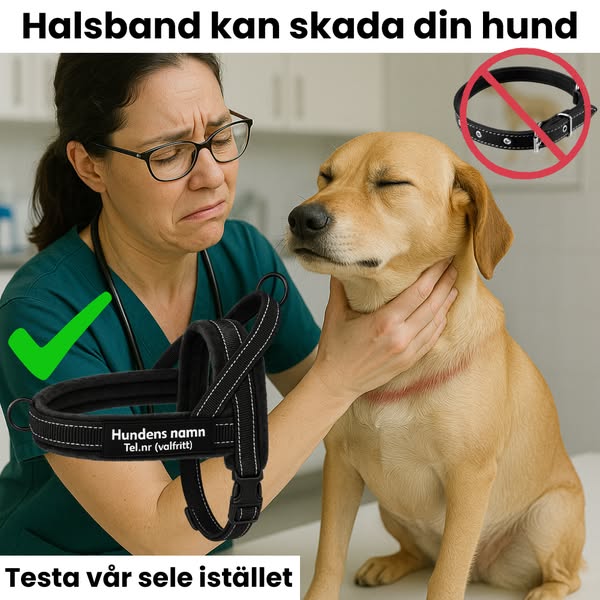 Hundsele med antidrag
