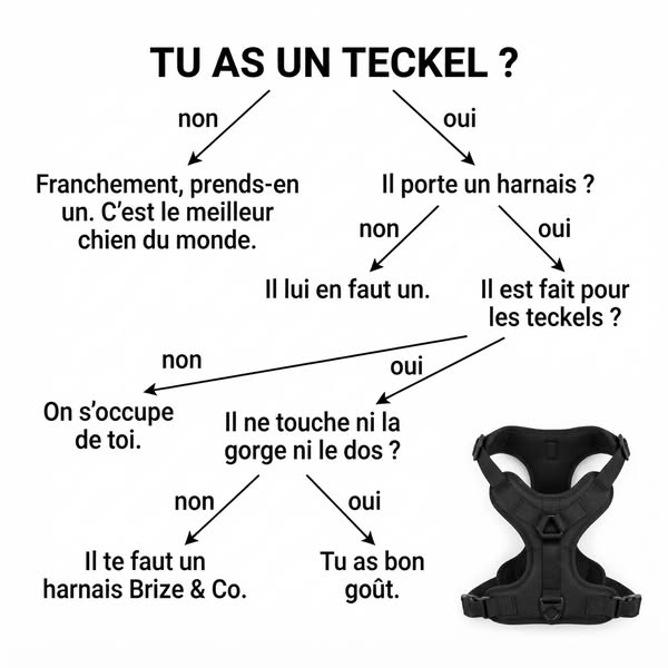 Tu arrives à quelle case ?